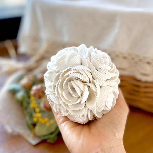 shell rose ball