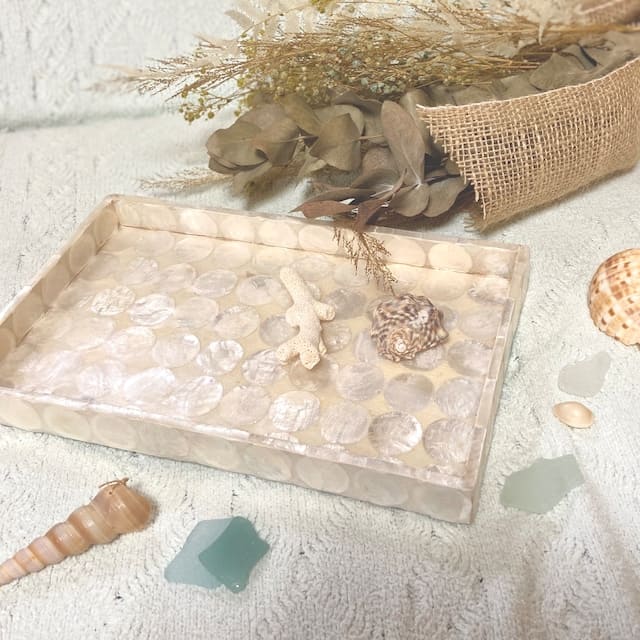 shell square tray flat circle